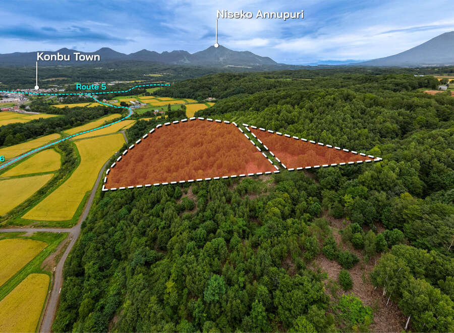 This exceptional property boasts a unique triangular shape and is nestled amidst a serene landscape of lush forests and picturesque rice paddies.