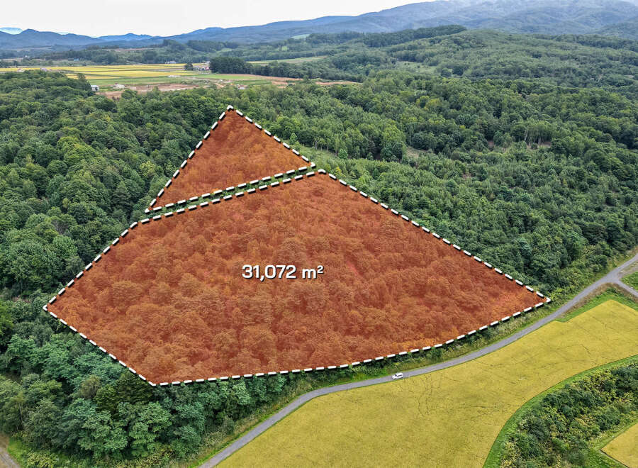 This stunning 31,072 m² property boasts a unique triangular shape and is nestled within a serene forest setting.