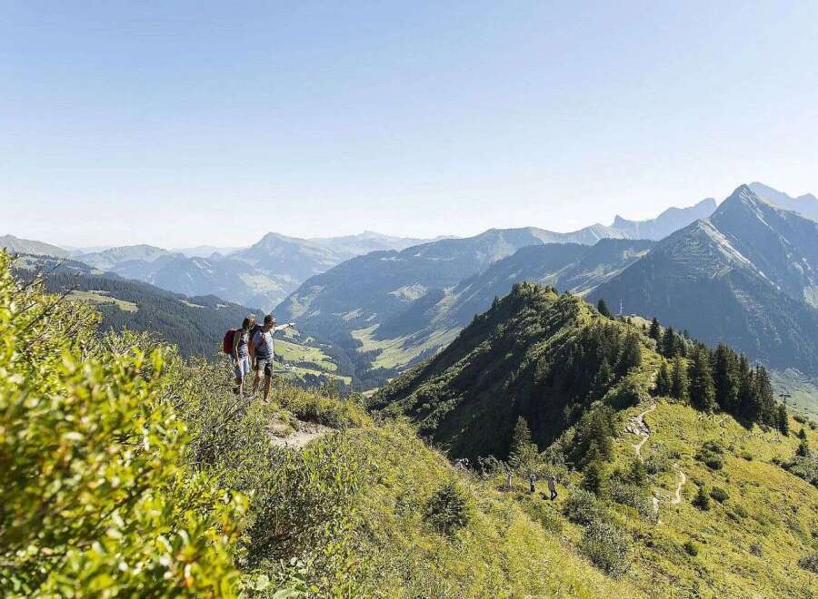 Discover breathtaking panoramic views of the Swiss Alps from this idyllic hiking trail.