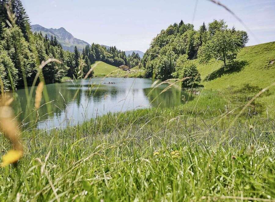 Discover serenity at this idyllic lakefront property nestled amidst lush greenery and majestic mountains.