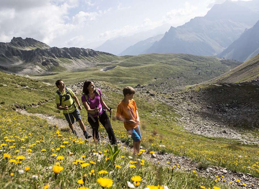 Family of three enjoys a hike through a scenic mountain trail, surrounded by vibrant wildflowers and breathtaking views.