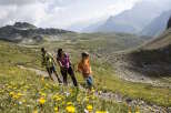 Family of three enjoys a hike through a scenic mountain trail, surrounded by vibrant wildflowers and breathtaking views.