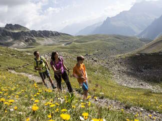 Family of three enjoys a hike through a scenic mountain trail, surrounded by vibrant wildflowers and breathtaking views.