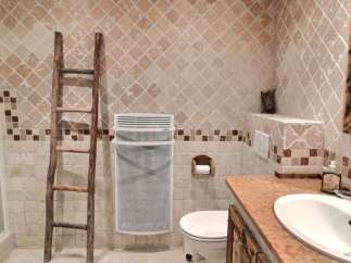 Rustic bathroom with unique tile work and wooden ladder.