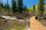 Wooden footbridge curving over a rushing stream, nestled within a lush forest of evergreen trees and vibrant green hills.