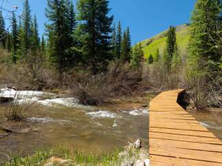 Wooden footbridge curving over a rushing stream, nestled within a lush forest of evergreen trees and vibrant green hills.