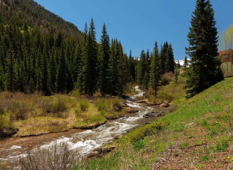 Nestled in a mountain valley, this property boasts a serene creek flowing through lush greenery.