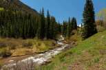 Nestled in a mountain valley, this property boasts a serene creek flowing through lush greenery.