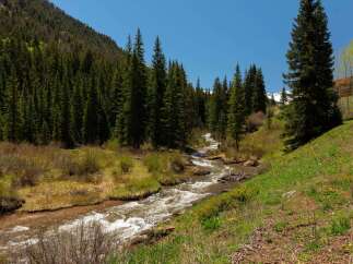 Nestled in a mountain valley, this property boasts a serene creek flowing through lush greenery.