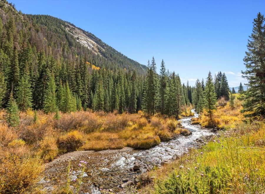 This serene landscape showcases a crystal-clear stream gently meandering through a vibrant meadow, surrounded by lush evergreen forests and majestic mountains.