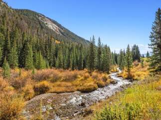 This serene landscape showcases a crystal-clear stream gently meandering through a vibrant meadow, surrounded by lush evergreen forests and majestic mountains.