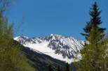 Majestic snow-capped mountains rise in the distance, their peaks partially obscured by lush green trees in the foreground.
