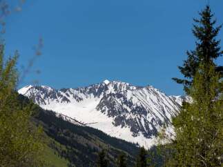 Majestic snow-capped mountains rise in the distance, their peaks partially obscured by lush green trees in the foreground.