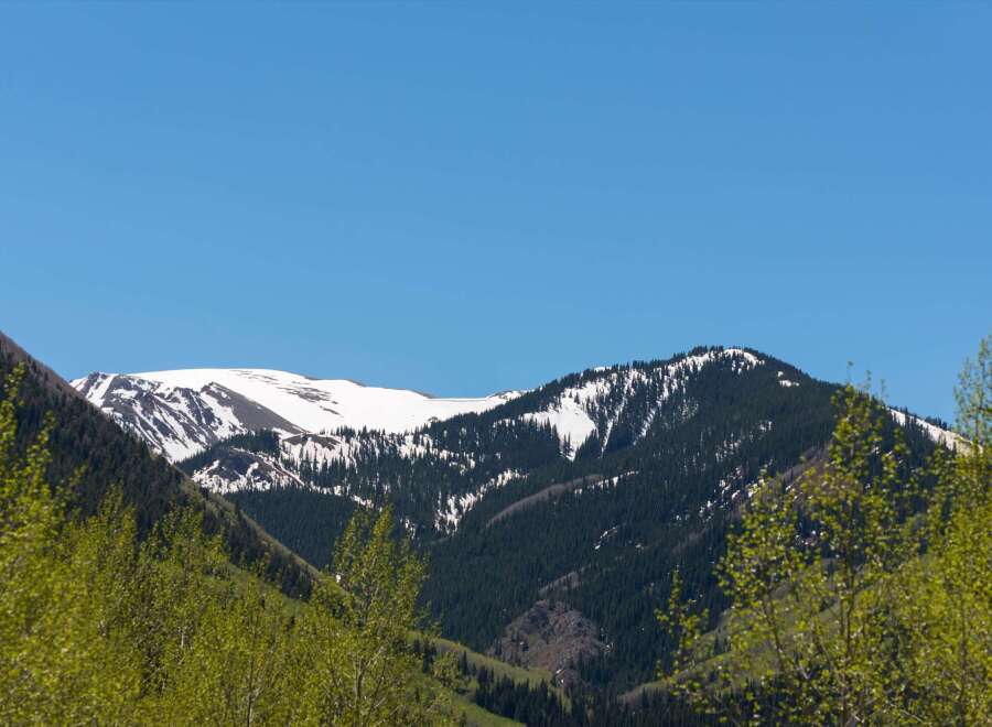 Snow capped mountains in the distance with lush green trees in the foreground.