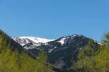 Snow capped mountains in the distance with lush green trees in the foreground.