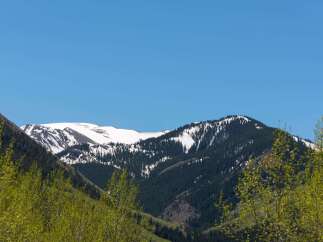 Snow capped mountains in the distance with lush green trees in the foreground.