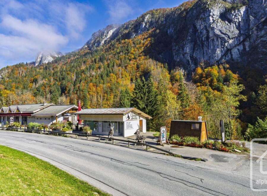 Nestled in the heart of the French Alps, this charming property boasts breathtaking mountain views and vibrant autumn foliage.