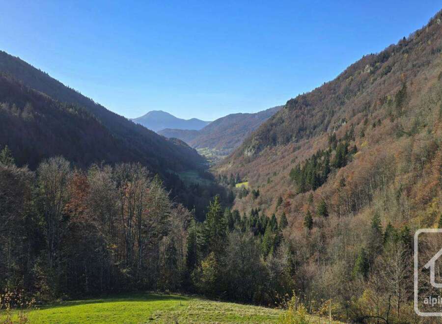 Nestled in the heart of the French Alps, this stunning property boasts breathtaking views of a picturesque valley.