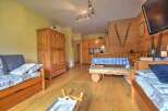 Cozy chalet apartment with wooden features and stunning mountain views.