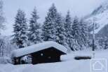 Discover this charming snow-covered chalet nestled amidst a picturesque alpine forest.