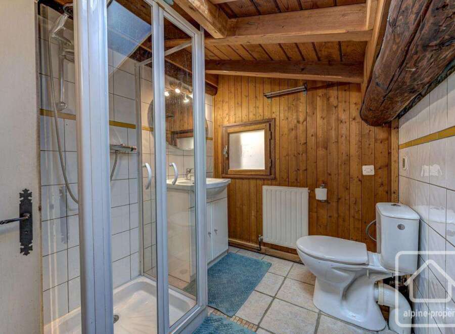 Charming chalet bathroom with rustic wood paneling, a walk-in shower, and a toilet.