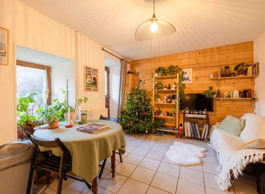 Cozy apartment with a wood-paneled wall, a Christmas tree, and a comfortable couch.