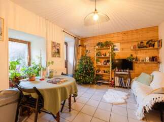 Cozy apartment with a wood-paneled wall, a Christmas tree, and a comfortable couch.