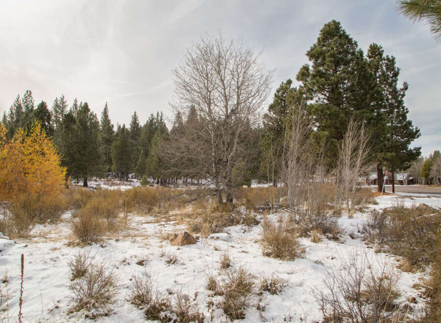 This property boasts a picturesque setting with a mix of mature evergreen and deciduous trees, providing both privacy and scenic beauty.