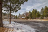 This secluded winter wonderland features rustic cabins nestled amongst towering pine trees, offering a tranquil escape.