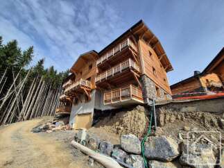 Discover this stunning wooden chalet nestled in a picturesque mountain setting.