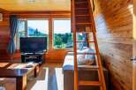Cozy cabin with wood interior, large windows offering scenic views, comfortable sofa, and a built-in ladder leading to a loft.