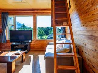 Cozy cabin with wood interior, large windows offering scenic views, comfortable sofa, and a built-in ladder leading to a loft.