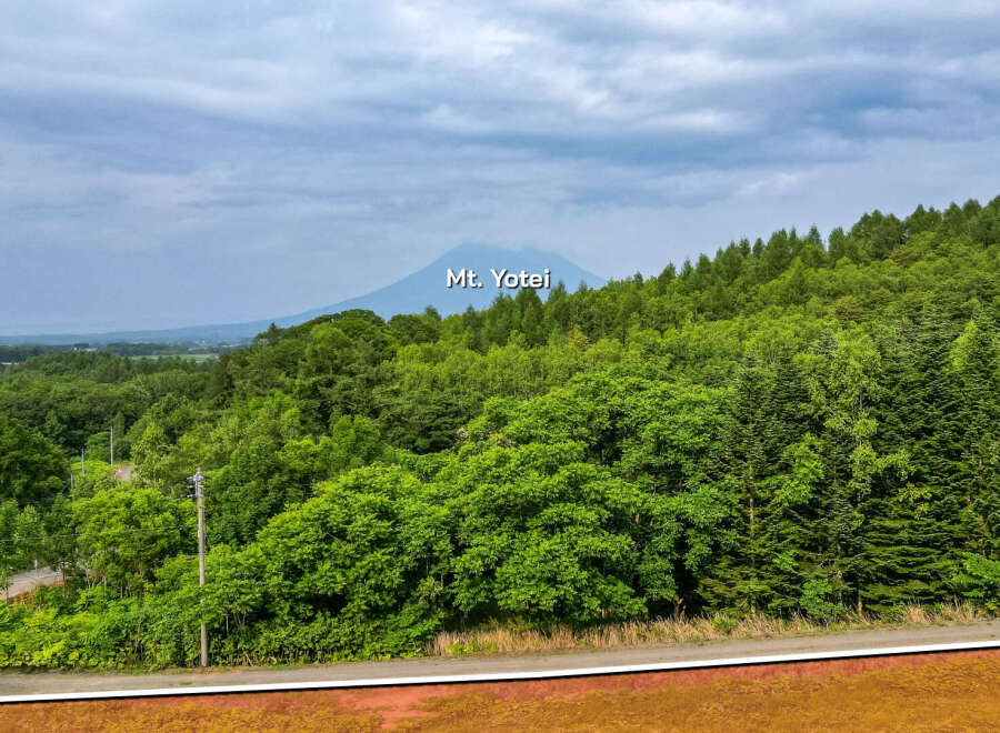 This property boasts breathtaking views of Mt.