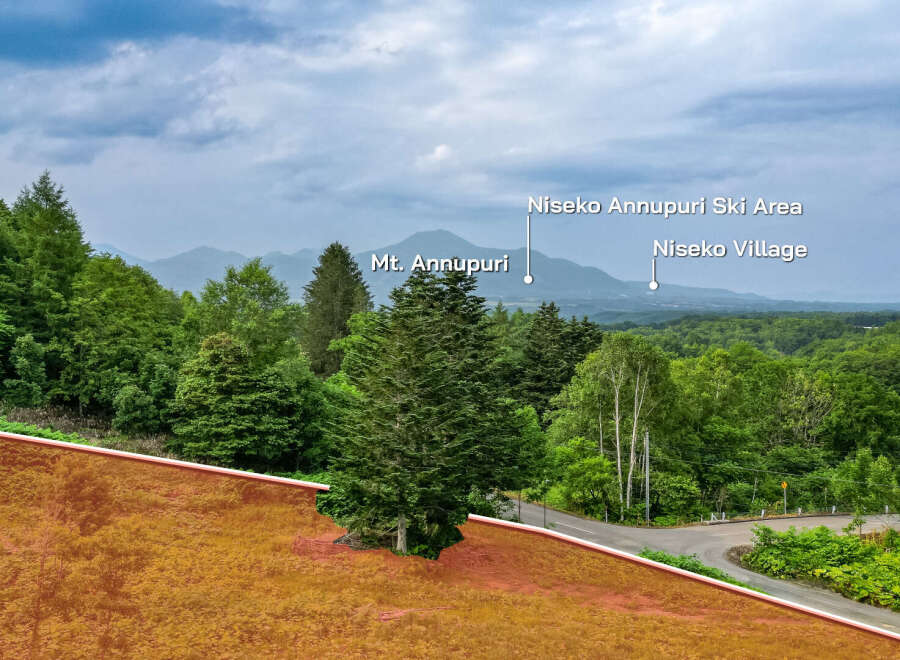 This stunning property boasts breathtaking views of Mt.