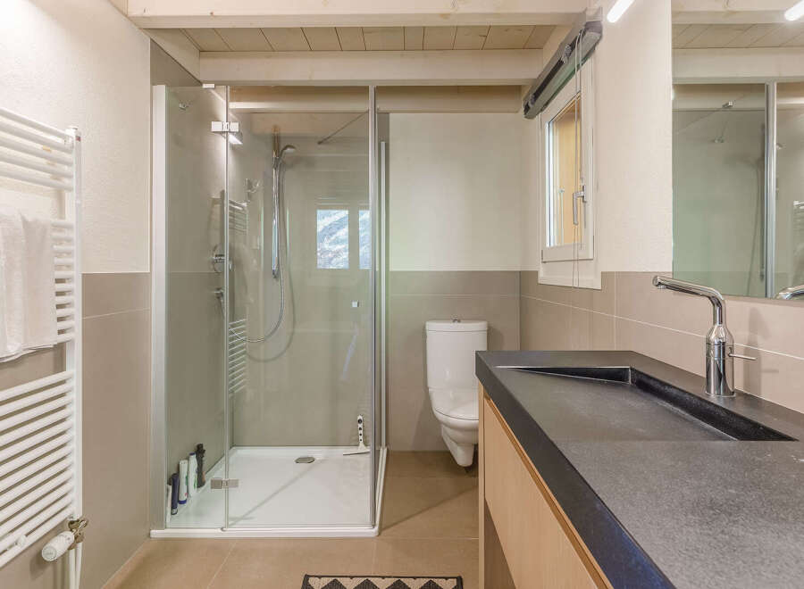 This modern bathroom features a sleek shower enclosure and a stylish vanity with a dark countertop.