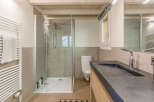 This modern bathroom features a sleek shower enclosure and a stylish vanity with a dark countertop.