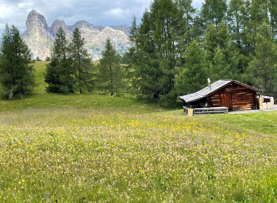 Escape to a charming wooden cabin nestled in a picturesque mountain landscape.
