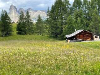 Escape to a charming wooden cabin nestled in a picturesque mountain landscape.
