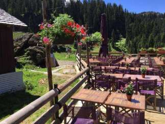 Enjoy the tranquility of this charming outdoor dining area, perfect for a relaxing meal.