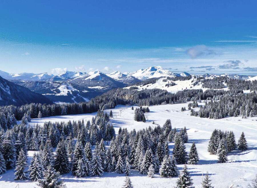 Discover breathtaking panoramic views of snow-capped mountains and pristine forests.