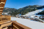 This stunning chalet boasts breathtaking views of the snow-capped mountains and ski slopes.
