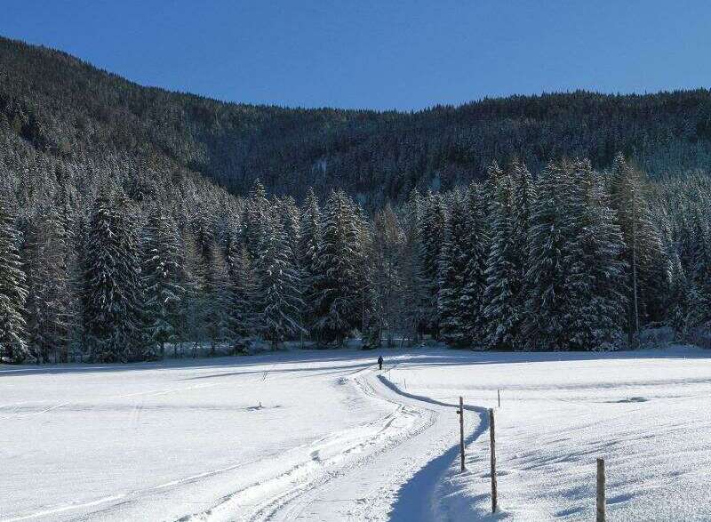 Experience the serene beauty of a winter wonderland.