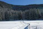 Experience the serene beauty of a winter wonderland.