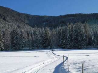 Experience the serene beauty of a winter wonderland.