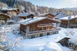 Experience the ultimate winter escape in this stunning chalet nestled in a snowy paradise.