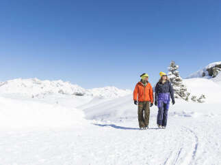 Explore the beauty of the snowy mountains with this stunning property.