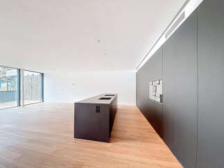 Modern kitchen island in open-plan living space with hardwood floors and floor-to-ceiling windows.