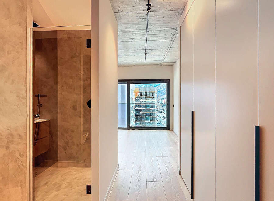 Modern apartment hallway with built-in wardrobes and a view.
