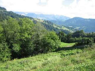 Discover tranquility in this picturesque mountain setting.