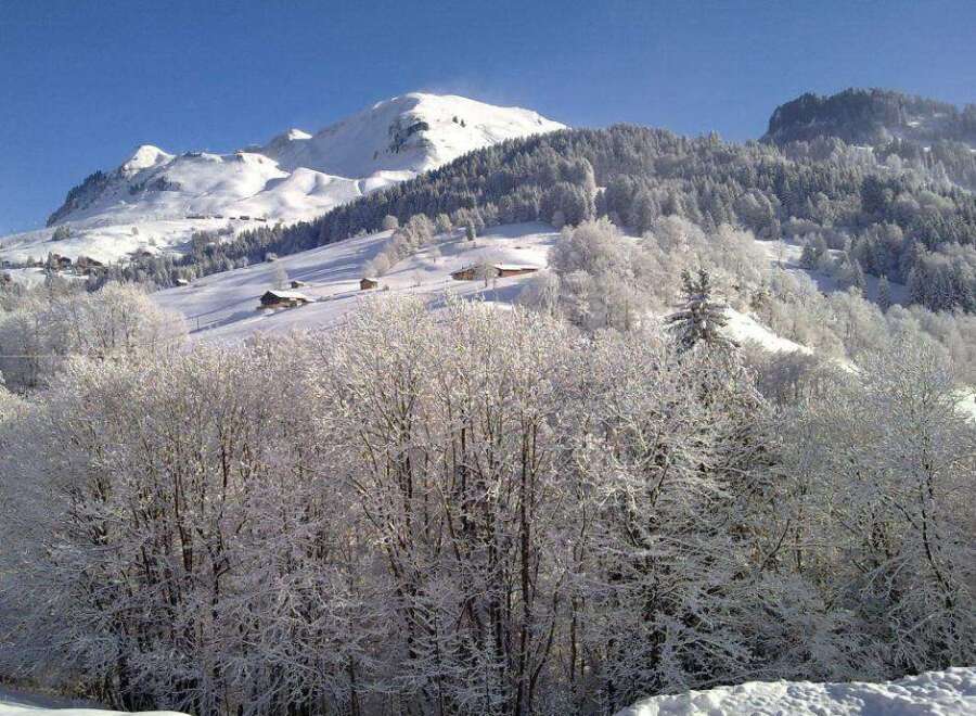 Nestled in a snowy mountainside, this charming chalet offers breathtaking views and serene winter landscapes.